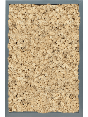 MDF RAL 7016 Satin Gloss 100% Reindeer (Natural)