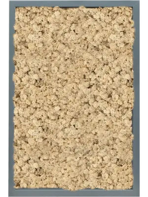 MDF RAL 7016 Satin Gloss 100% Reindeer (Natural)