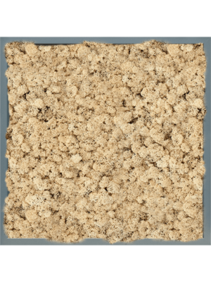 MDF RAL 7016 Satin Gloss 100% Reindeer (Natural)