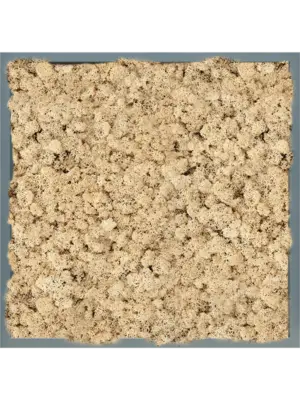 MDF RAL 7016 Satin Gloss 100% Reindeer (Natural)