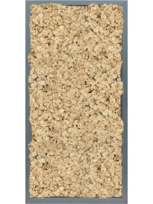 MDF RAL 7016 Satin Gloss 100% Reindeer (Natural)