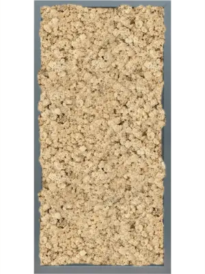 MDF RAL 7016 Satin Gloss 100% Reindeer (Natural)