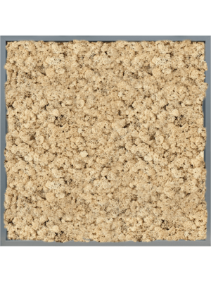 MDF RAL 7016 Satin Gloss 100% Reindeer (Natural)