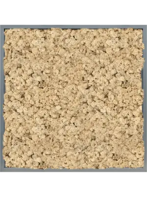 MDF RAL 7016 Satin Gloss 100% Reindeer (Natural)