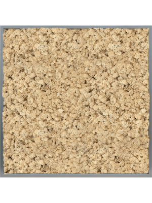 MDF RAL 7016 Satin Gloss 100% Reindeer (Natural)