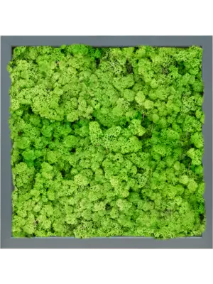 MDF RAL 7016 Satin Gloss 100% Reindeer (Light Grass Green)