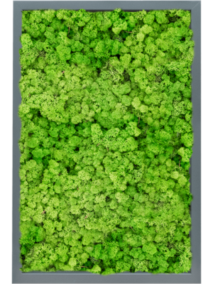 MDF RAL 7016 Satin Gloss 100% Reindeer (Light Grass Green)