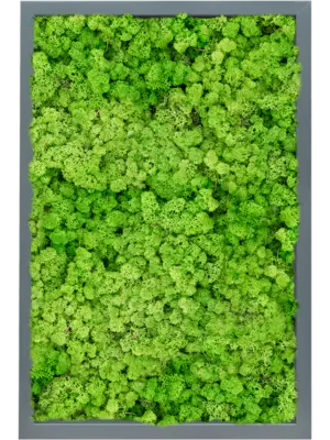 MDF RAL 7016 Satin Gloss 100% Reindeer (Light Grass Green)