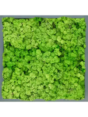 MDF RAL 7016 Satin Gloss 100% Reindeer (Light Grass Green)