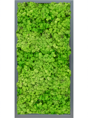 MDF RAL 7016 Satin Gloss 100% Reindeer (Light Grass Green)