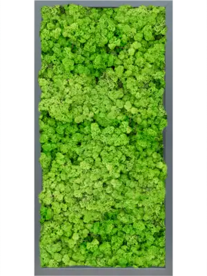 MDF RAL 7016 Satin Gloss 100% Reindeer (Light Grass Green)