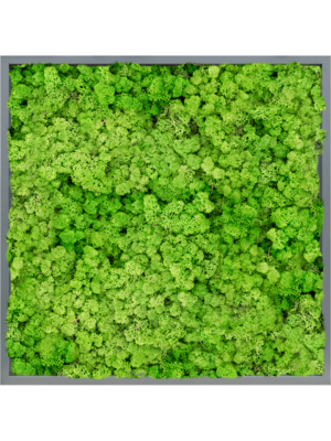 MDF RAL 7016 Satin Gloss 100% Reindeer (Light Grass Green)