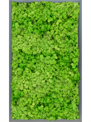 MDF RAL 7016 Satin Gloss 100% Reindeer (Light Grass Green)