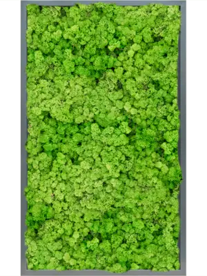 MDF RAL 7016 Satin Gloss 100% Reindeer (Light Grass Green)