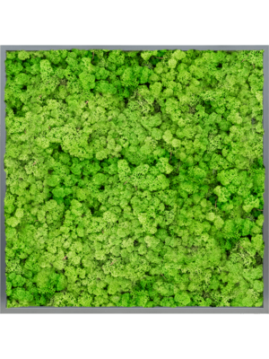 MDF RAL 7016 Satin Gloss 100% Reindeer (Light Grass Green)