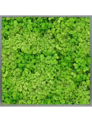 MDF RAL 7016 Satin Gloss 100% Reindeer (Light Grass Green)