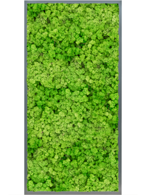 MDF RAL 7016 Satin Gloss 100% Reindeer (Light Grass Green)