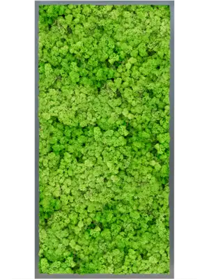 MDF RAL 7016 Satin Gloss 100% Reindeer (Light Grass Green)