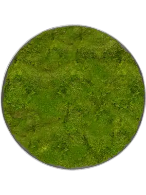 Nova Frame Natural-concrete 100% Flat moss