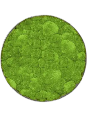 Nova Frame Natural-concrete 100% Ball moss