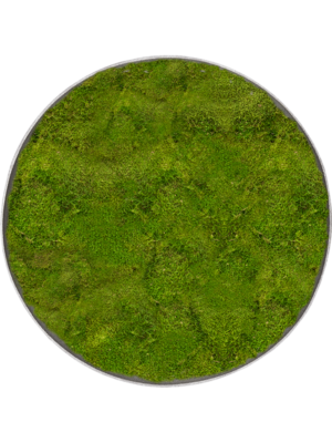 Nova Frame Natural-concrete 100% Flat moss