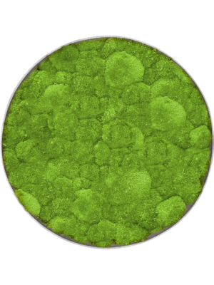 Nova Frame Natural-concrete 100% Ball moss