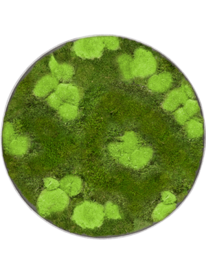 Nova Frame Natural-concrete 30% Ball- and 70% flat moss