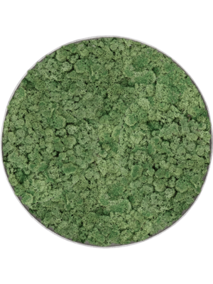 Nova Frame Natural-concrete 100% Reindeer Moss (Moss green)