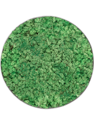 Nova Frame Natural-concrete 100% Reindeer (Grass Green)