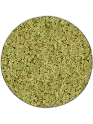 Nova Frame Natural-concrete 100% Reindeer (OldGreen)