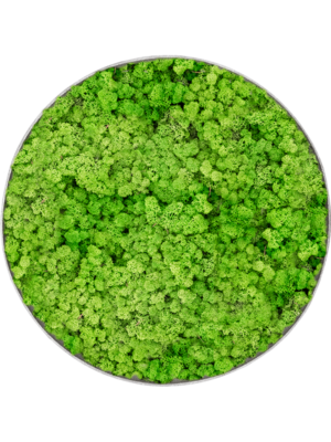 Nova Frame Natural-concrete 100% Reindeer (Light Grass Green)
