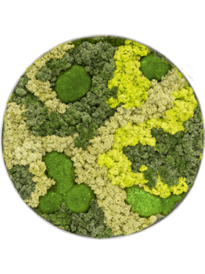 Nova Frame Natural-concrete 30% Ball moss 70% Reindeer moss (Mix)