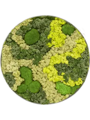 Nova Frame Natural-concrete 30% Ball moss 70% Reindeer moss (Mix)