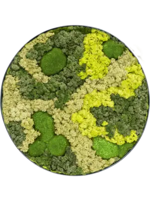 Nova Frame Anthracite-concrete 30% Ball moss 70% Reindeer moss (Mix)