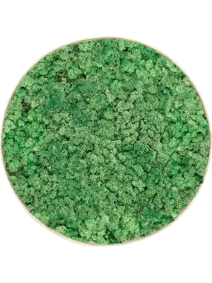 Nova Frame Antique White-concrete 100% Reindeer (Grass Green)