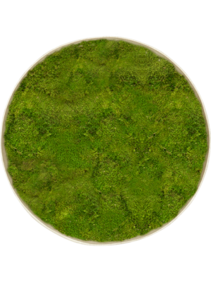 Nova Frame Antique White-concrete 100% Flat moss