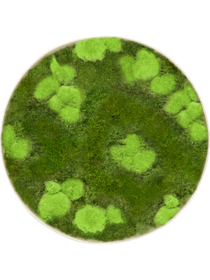 Nova Frame Antique White-concrete 30% Ball- and 70% flat moss