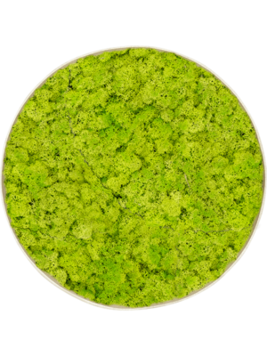 Nova Frame Antique White-concrete Reindeer moss (Spring green)