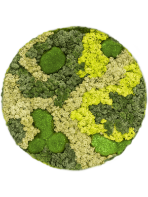 Ecopanel 30% Ball moss 70% Reindeer moss (Mix)