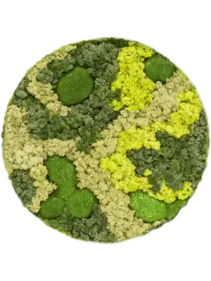 Ecopanel 30% Ball moss 70% Reindeer moss (Mix)