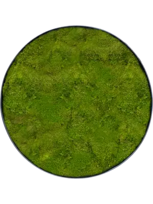 Nova Frame Anthracite-concrete 100% Flat moss