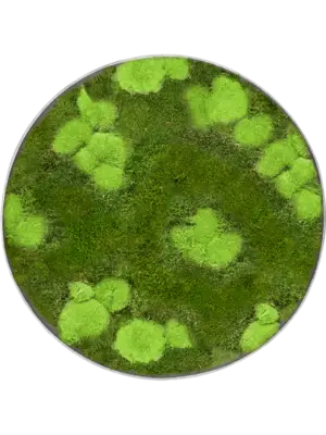 Nova Frame Natural-concrete 30% Ball- and 70% flat moss