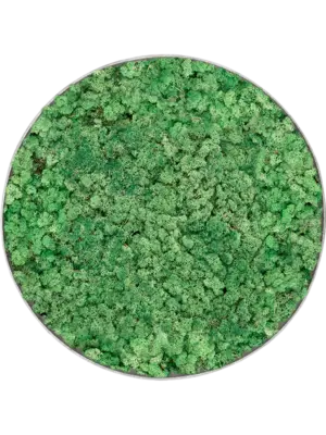 Nova Frame Natural-concrete 100% Reindeer (Grass Green)