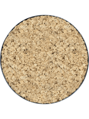 Nova Frame Anthracite-concrete 100% Reindeer (Natural)