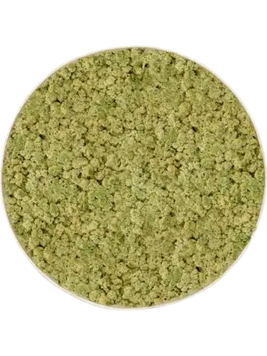 Nova Frame Antique White-concrete 100% Reindeer (OldGreen)