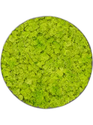 Nova Frame Natural-concrete Reindeer moss (Spring green)