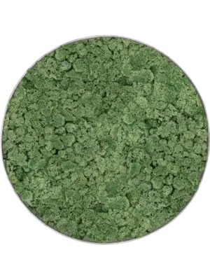 Nova Frame Natural-concrete 100% Reindeer Moss (Moss green)