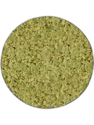 Nova Frame Natural-concrete 100% Reindeer (OldGreen)