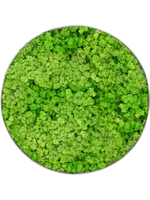 Nova Frame Natural-concrete 100% Reindeer (Light Grass Green)