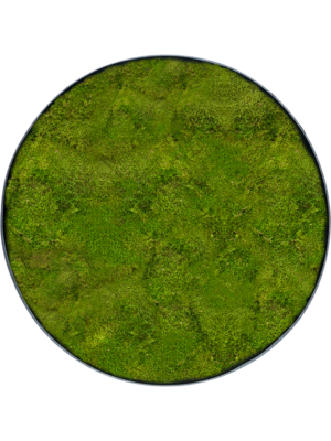 Nova Frame Anthracite-concrete 100% Flat moss